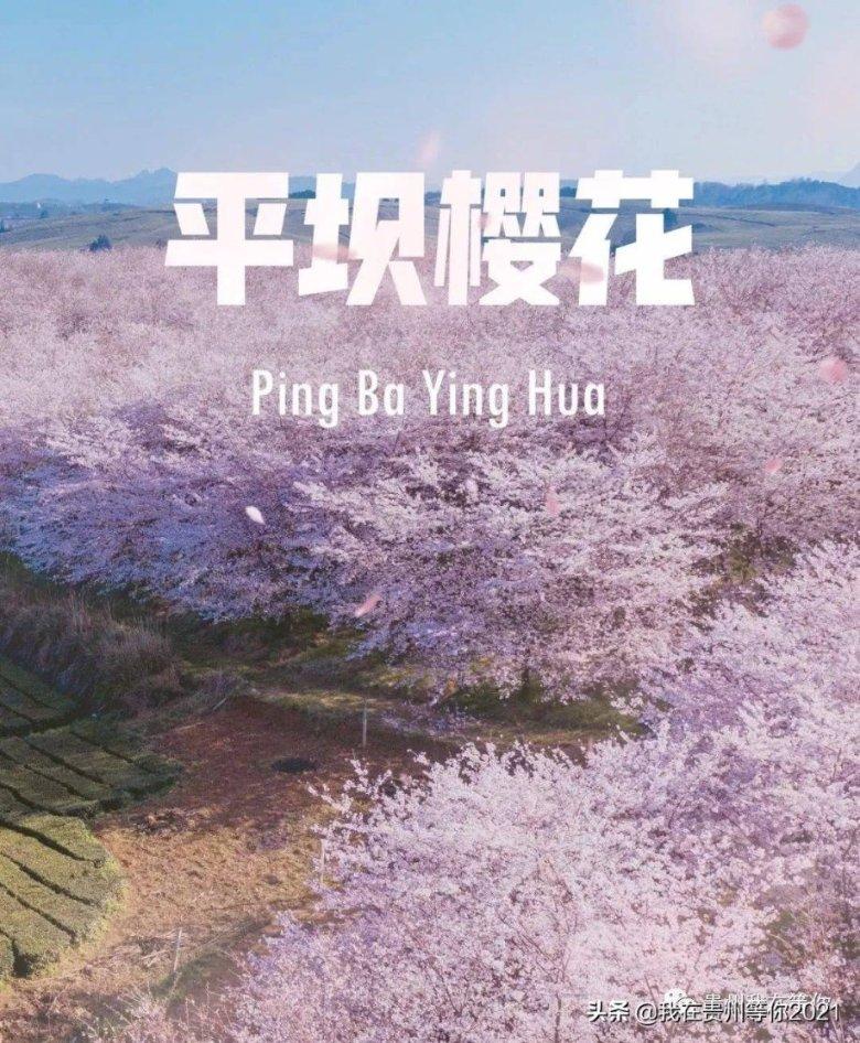 影视工厂